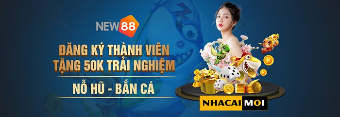 Hướng dẫn kiểm tra thông tin Shbet